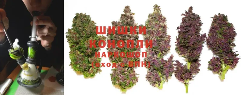 магазин    Урюпинск  Шишки марихуана OG Kush 